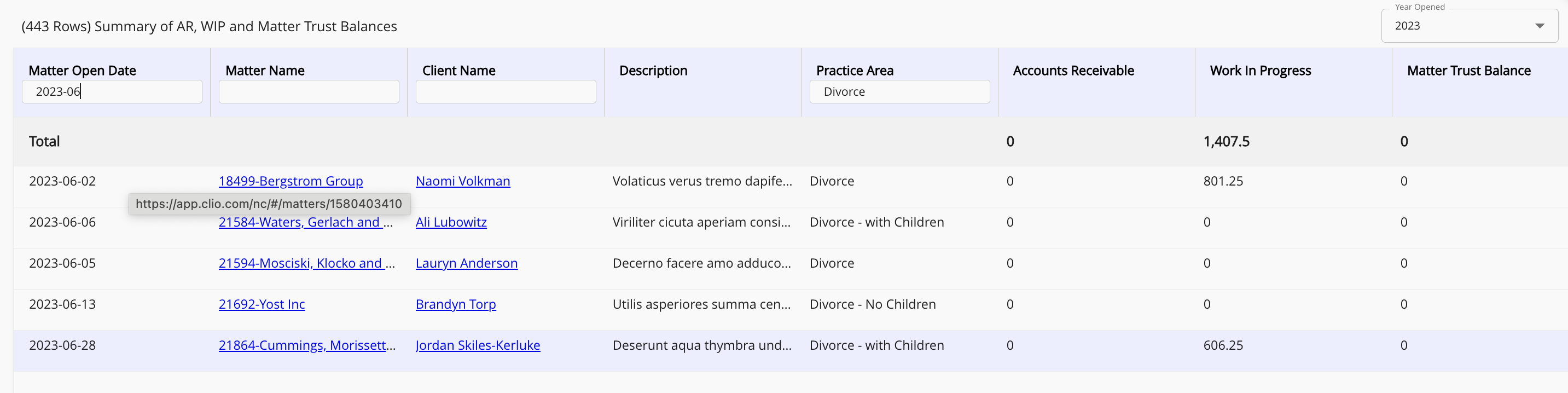 summary report example
